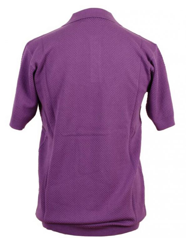 Suixtil Men's 100% Pima Cotton Nassau Short Sleeve Polo, Diesel Purple
